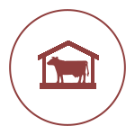 СЕЛЬСКОХОЗЯЙСТВЕННОЕ