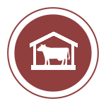 СЕЛЬСКОХОЗЯЙСТВЕННОЕ